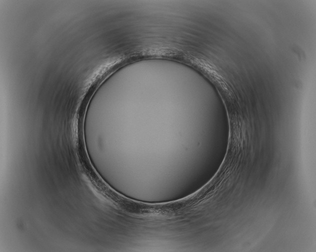 X0000115120678200911101627