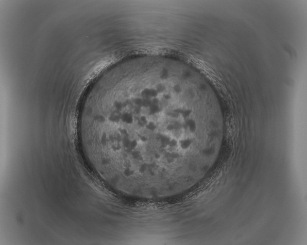 X0000115120679200911101627