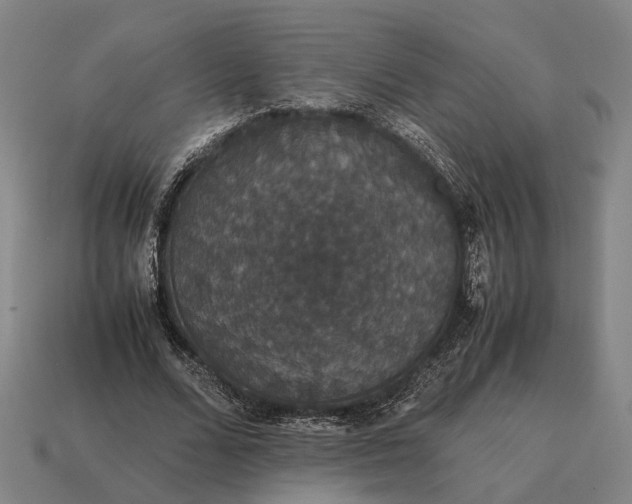 X0000115120680200911101627