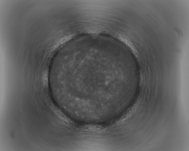 X0000115120681200911101627