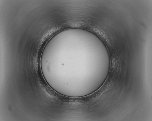 X0000115120682200911101627