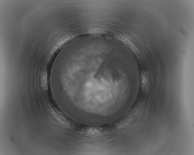 X0000115120684200911101627