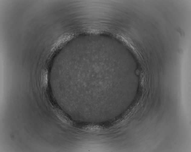 X0000115120685200911101627