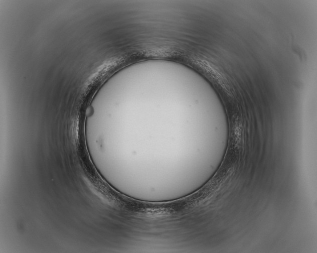 X0000115120686200911101627