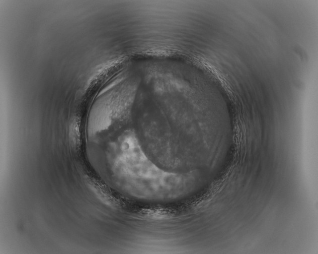 X0000115120688200911101627