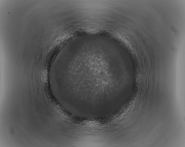 X0000115120689200911101627