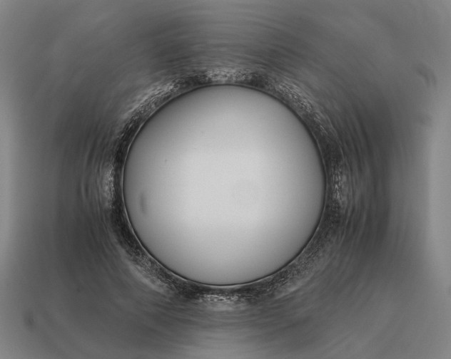 X0000115120690200911101627