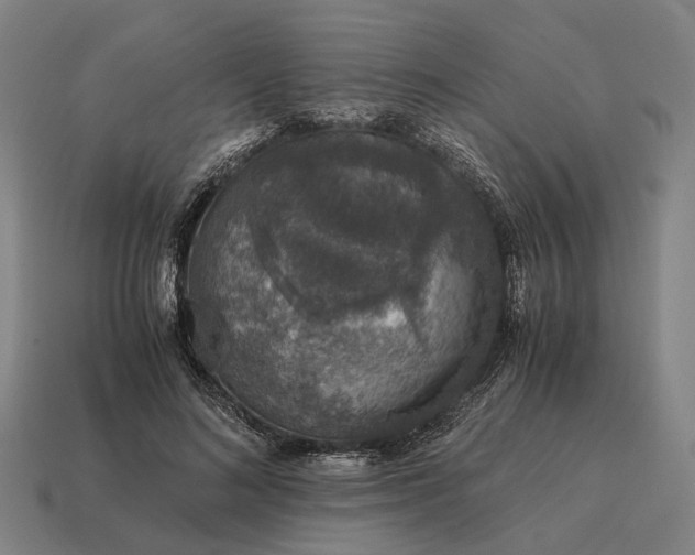 X0000115120692200911101627