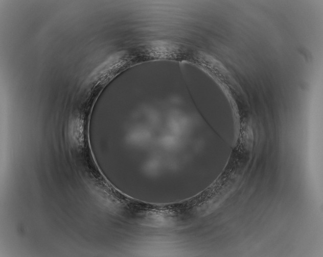 X0000115120696200911101627