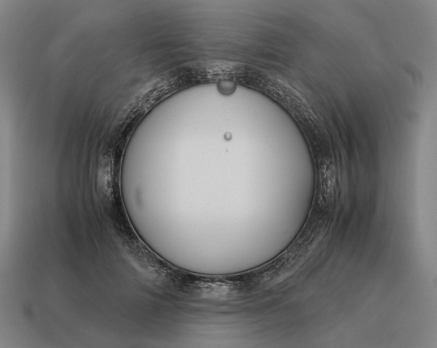 X0000115120698200911101627