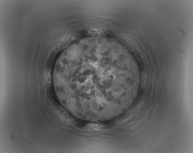 X0000115120699200911101627