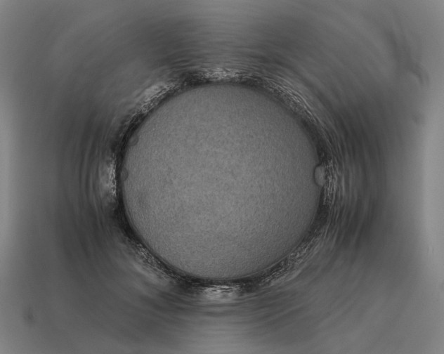 X0000115120700200911101627