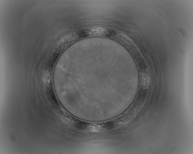 X0000115120701200911101626