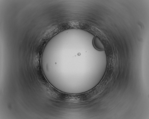 X0000115120702200911101626