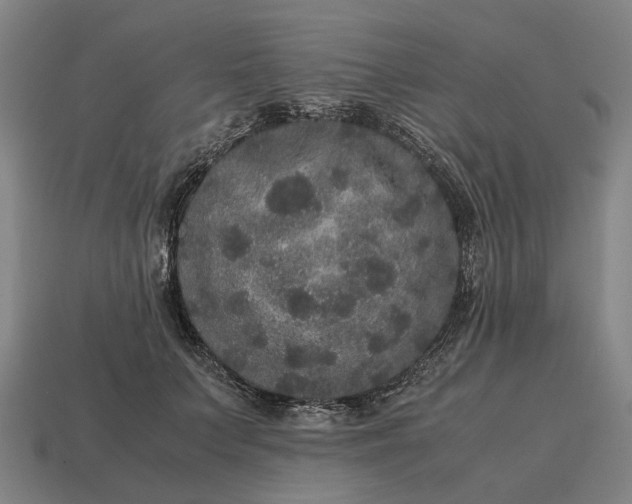 X0000115120703200911101626