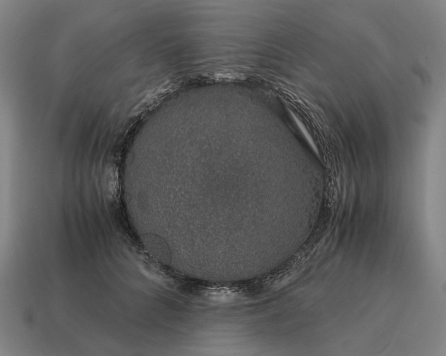X0000115120704200911101626
