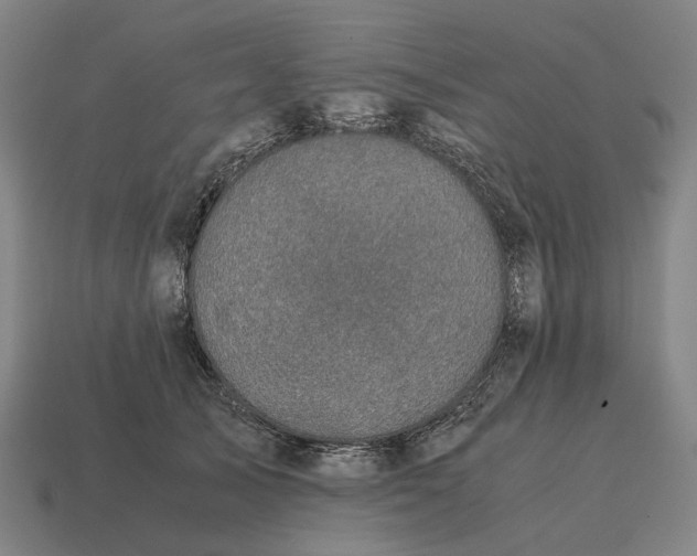 X0000115120705200911101626
