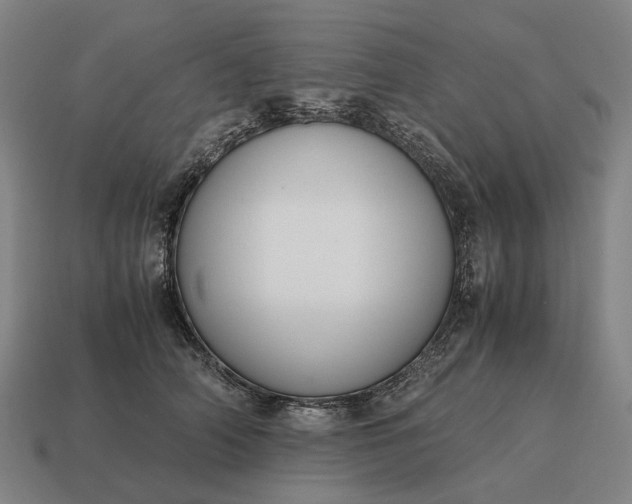 X0000115120706200911101626