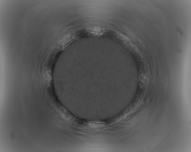 X0000115120707200911101626