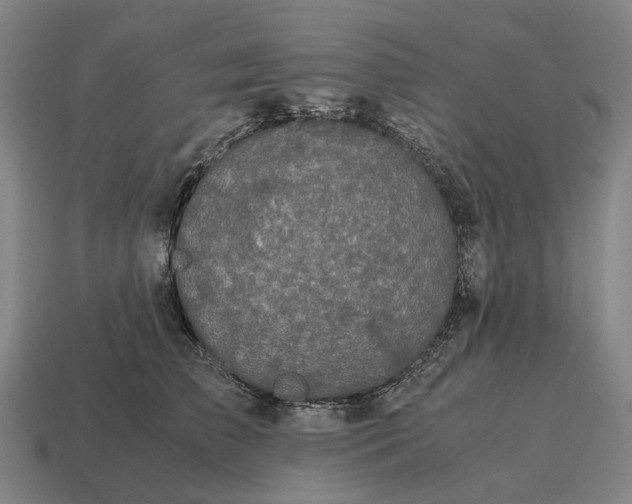 X0000115120709200911101626