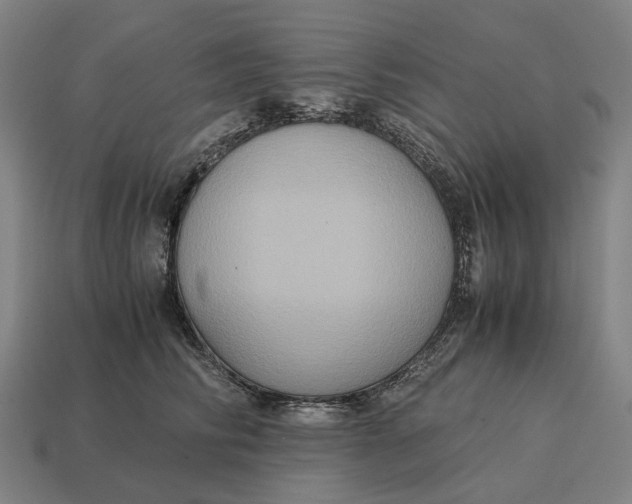 X0000115120710200911101626