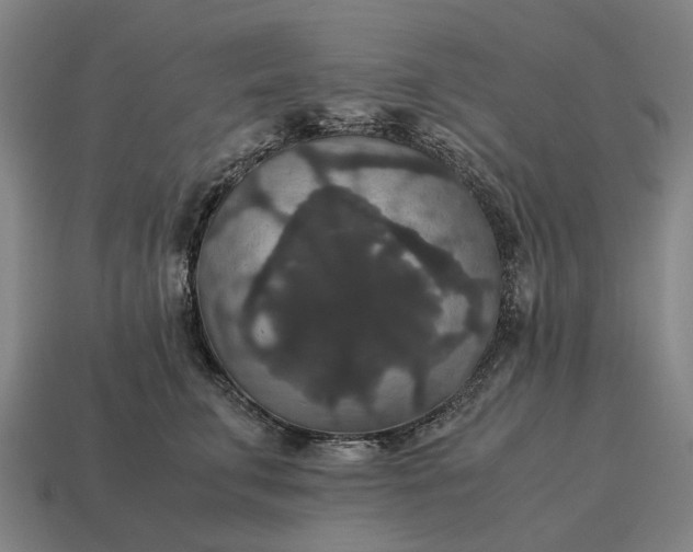 X0000115120711200911101626