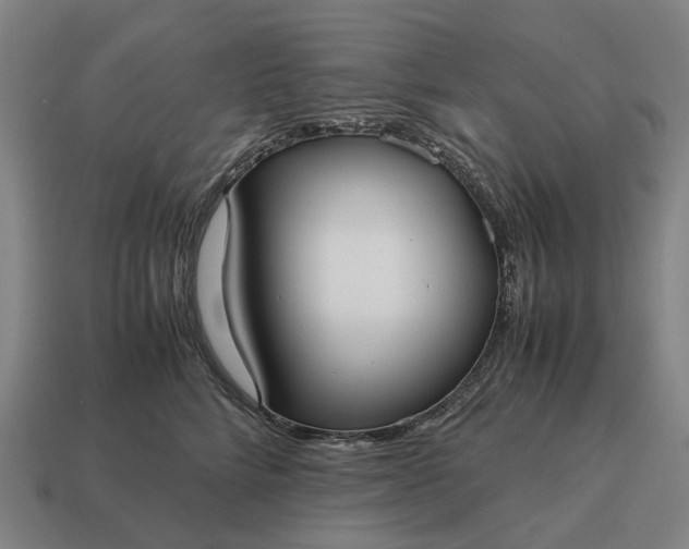 X0000115120712200911101626
