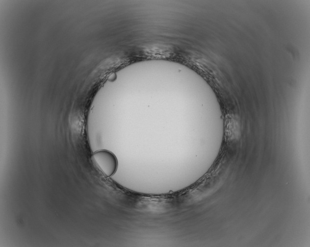 X0000115120713200911101626
