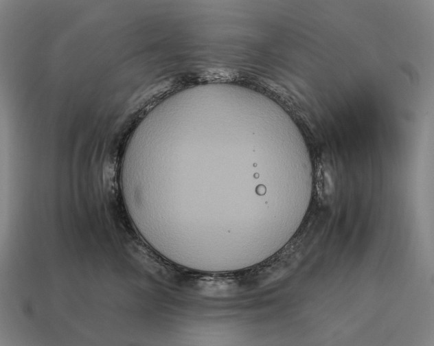 X0000115120714200911101626