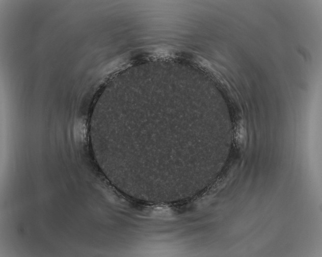 X0000115120715200911101626