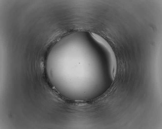 X0000115120716200911101626