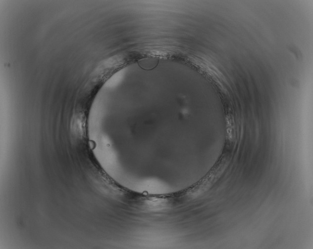 X0000115120718200911101626
