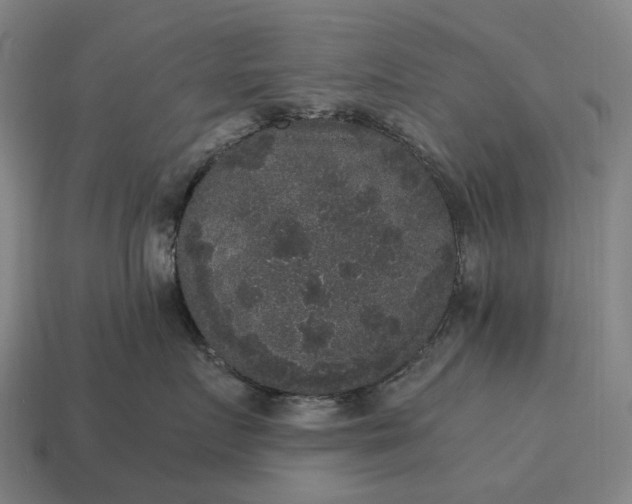 X0000115120719200911101626