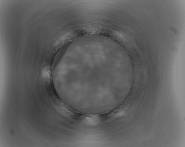 X0000115120720200911101626