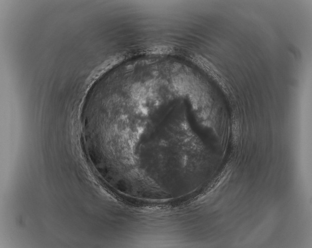 X0000115120721200911101626