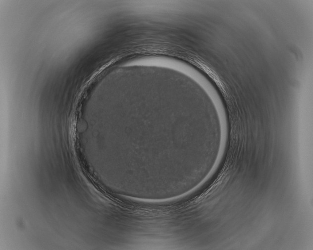 X0000115120722200911101626