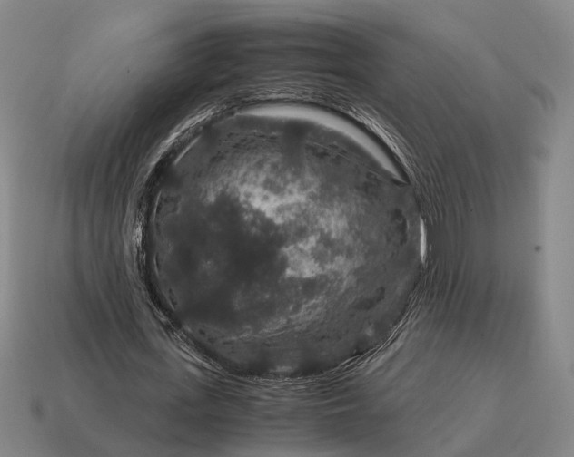 X0000115120723200911101626