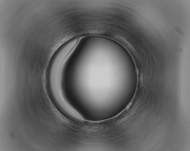 X0000115120725200911101626