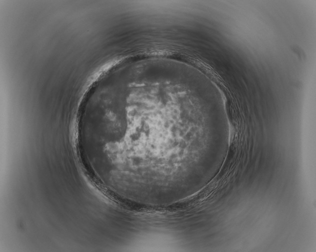 X0000115120726200911101626