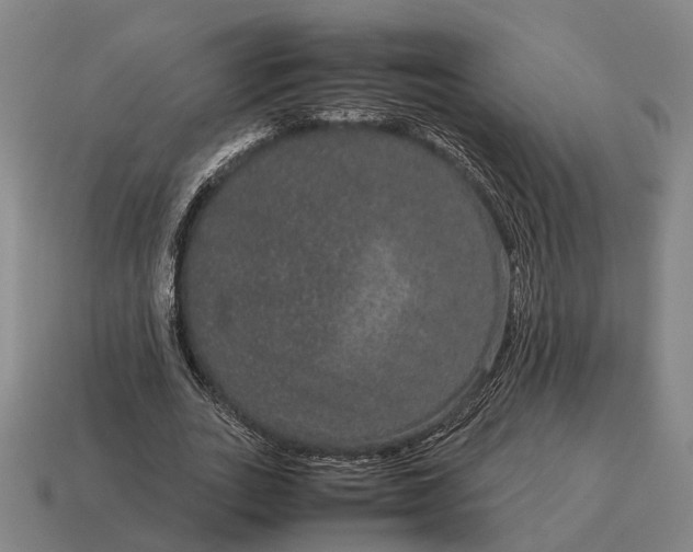 X0000115120727200911101626