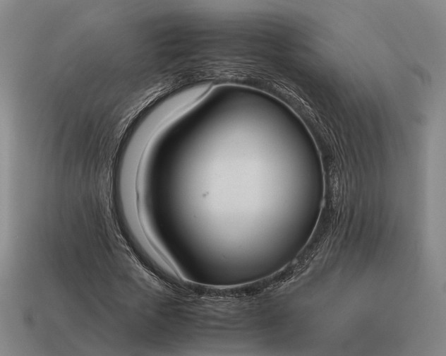 X0000115120729200911101626