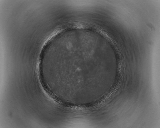 X0000115120730200911101626