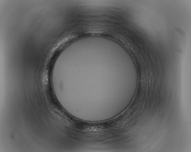 X0000115120731200911101626