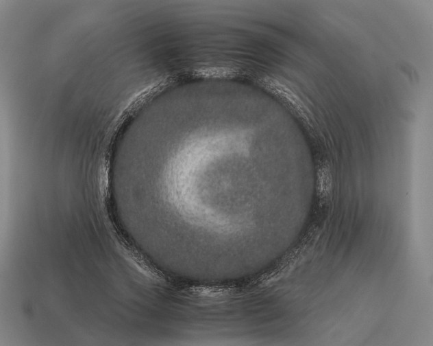X0000115120733200911101626