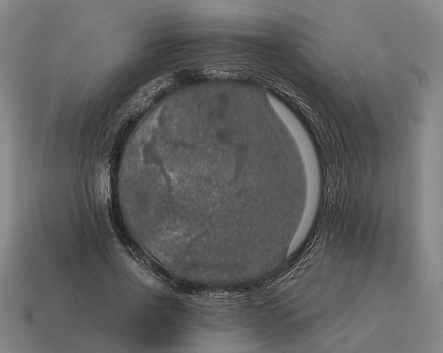 X0000115120734200911101626