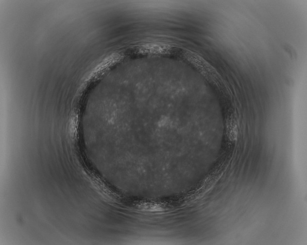 X0000115120735200911101626