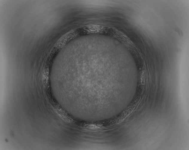 X0000115120737200911101626