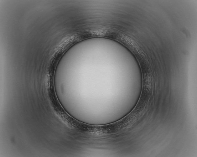 X0000115120738200911101626