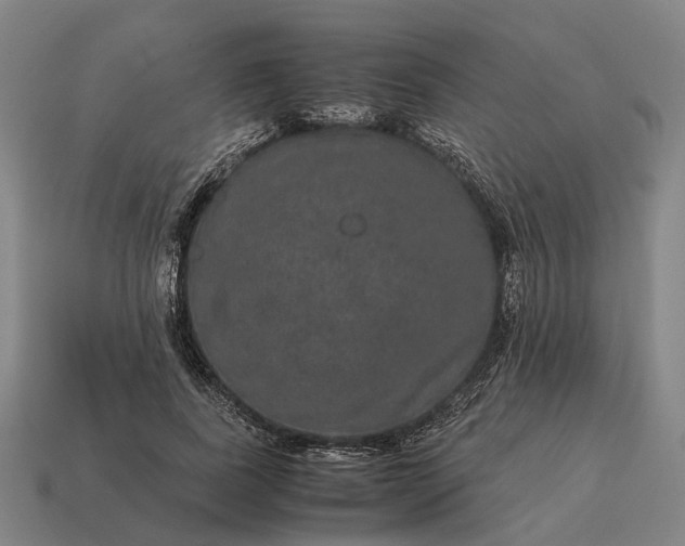 X0000115120739200911101626