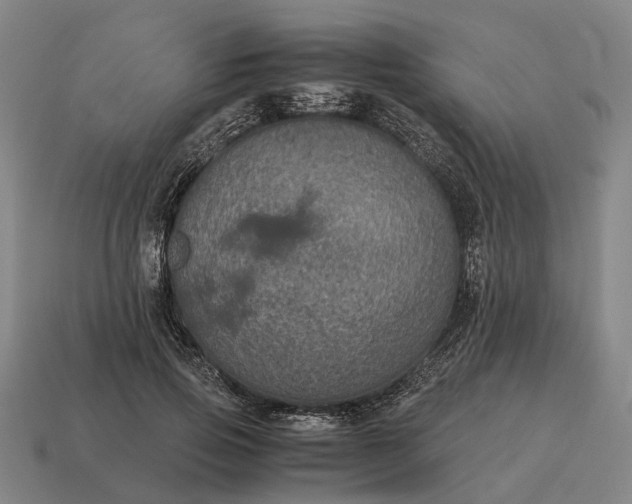 X0000115120741200911101626